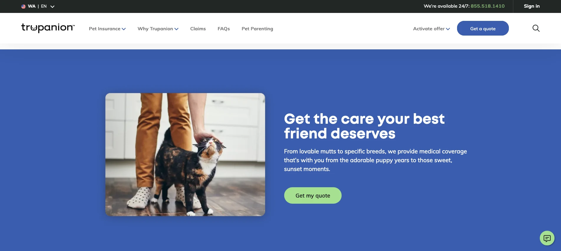 Green cta on blue ground