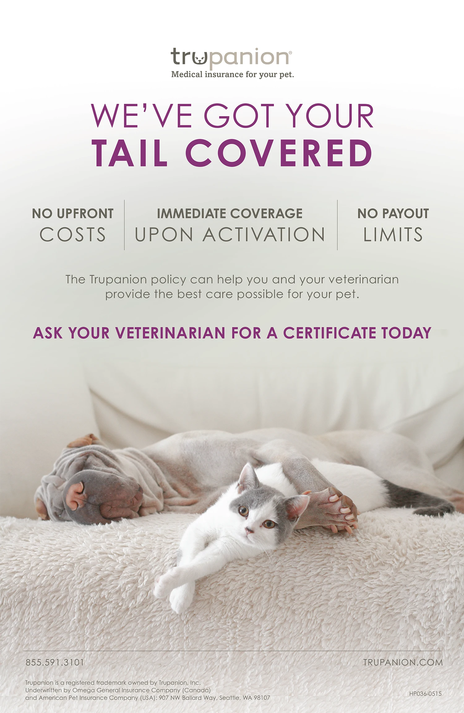 Poster that features a dog and cat on a couch cuddling.