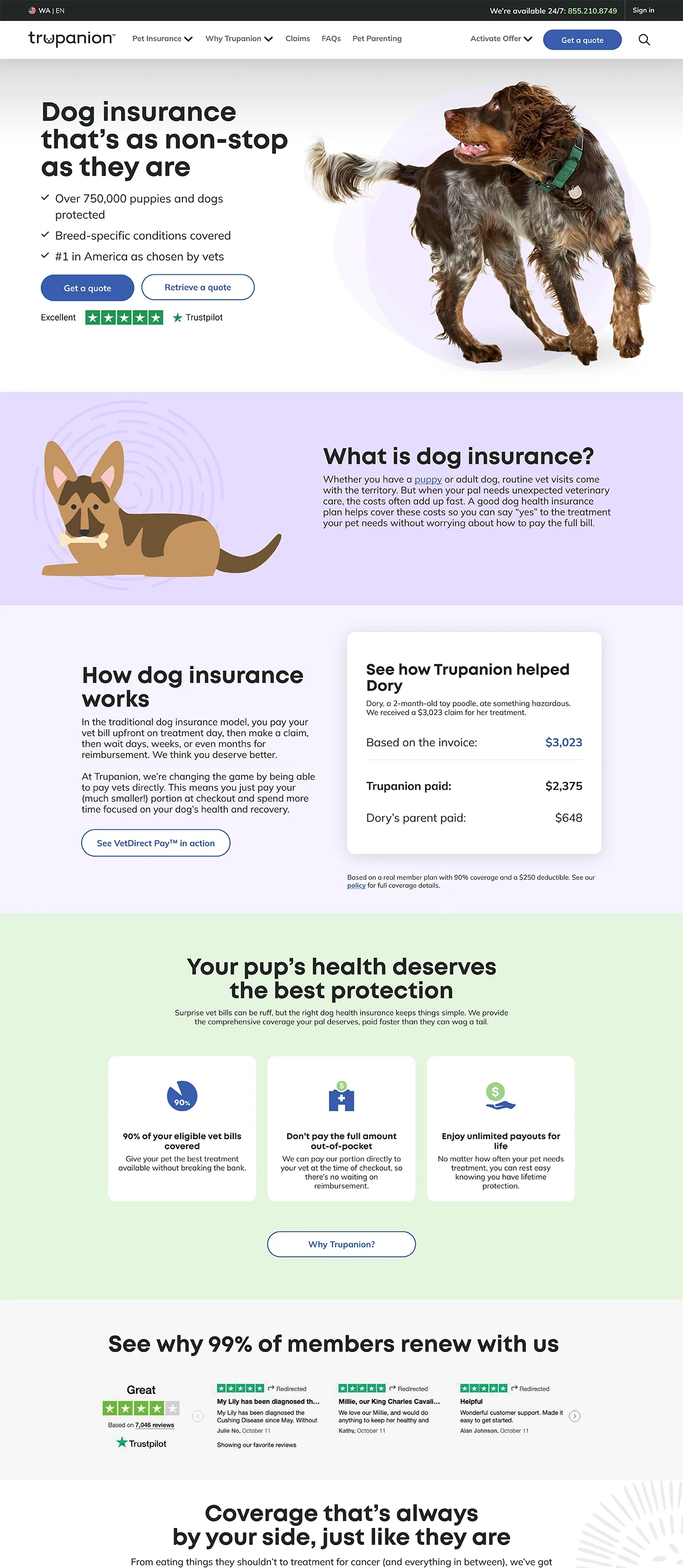 Desktop version of the new dog insurance page