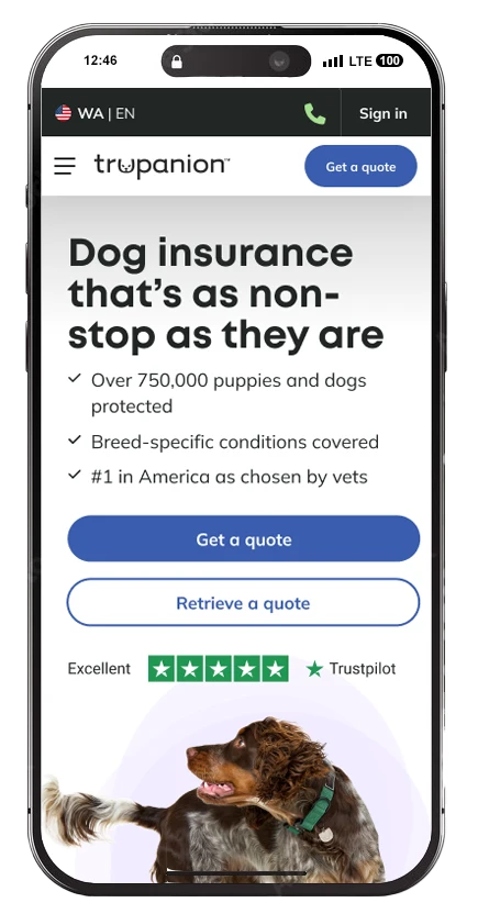 mobile version of the new dog insurance page
