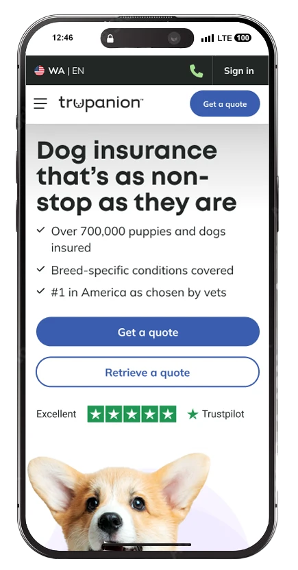 mobile version of the old dog insurance page