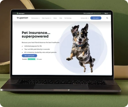screenshot of homepage redesign project
