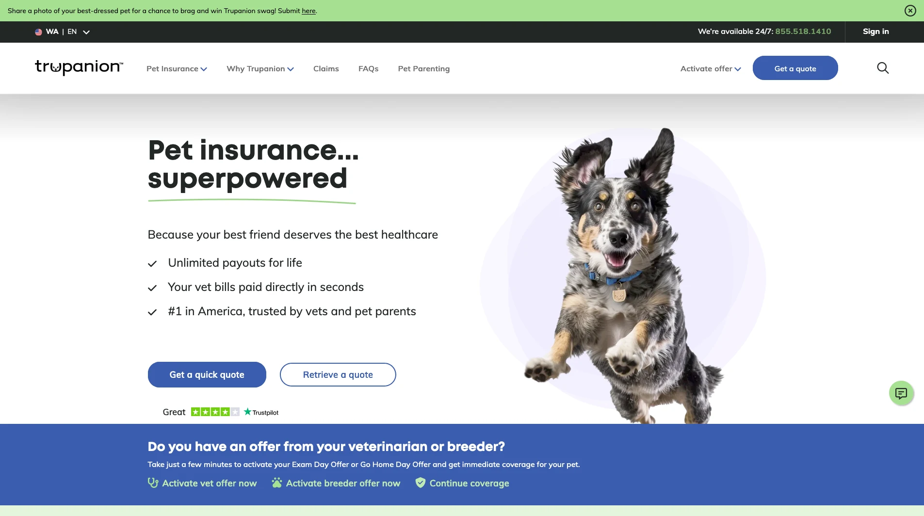 Screenshot of the homepage with the blue cta on it