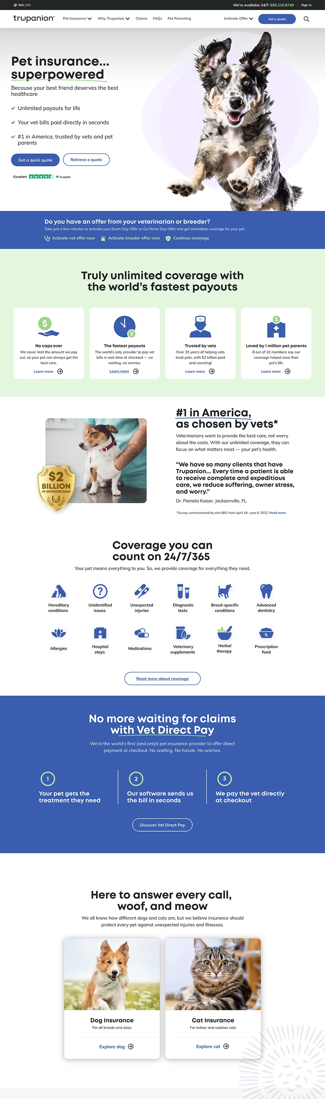 final design of the homepage