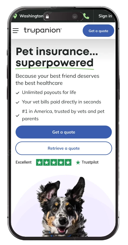 final design of the homepage, mobile view