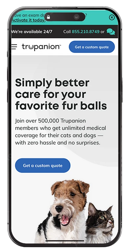 mobile version of the design