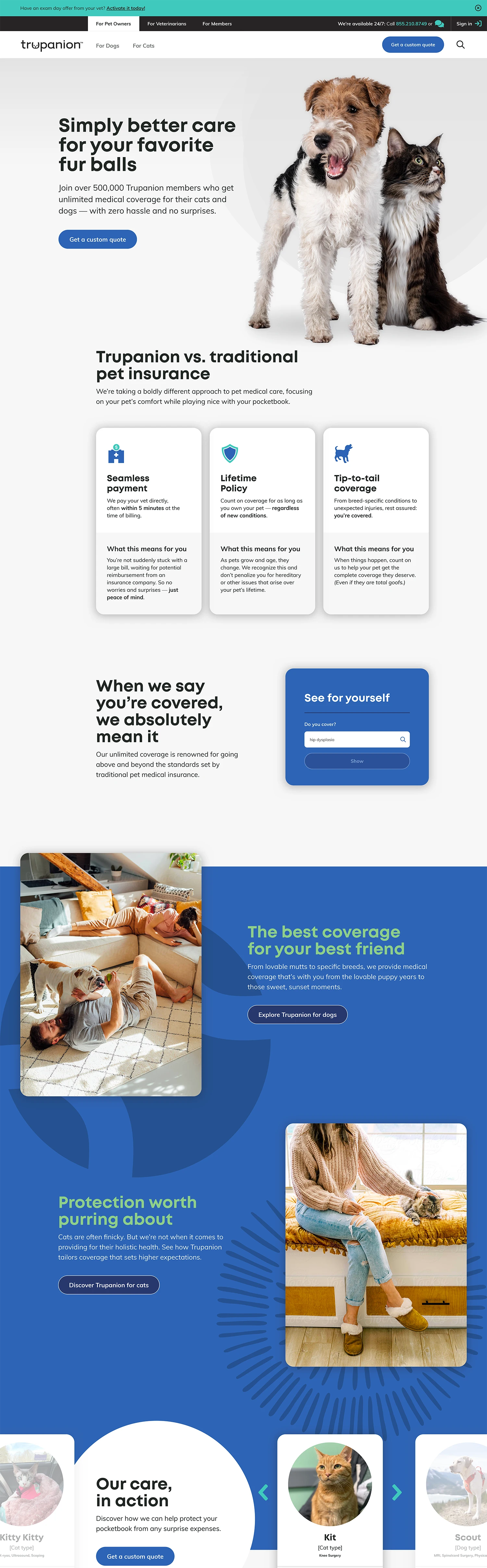 first homepage design