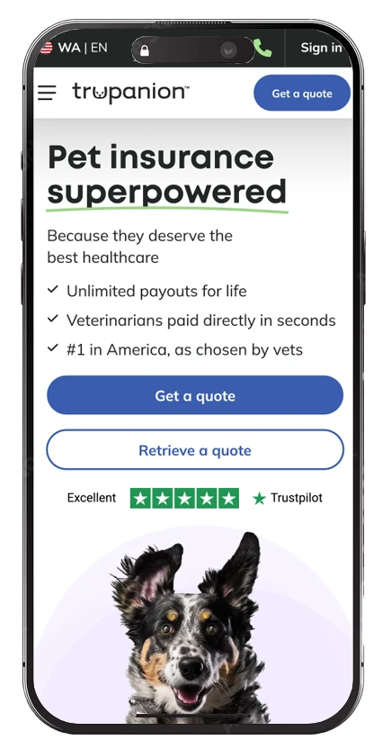 design revision for mobile