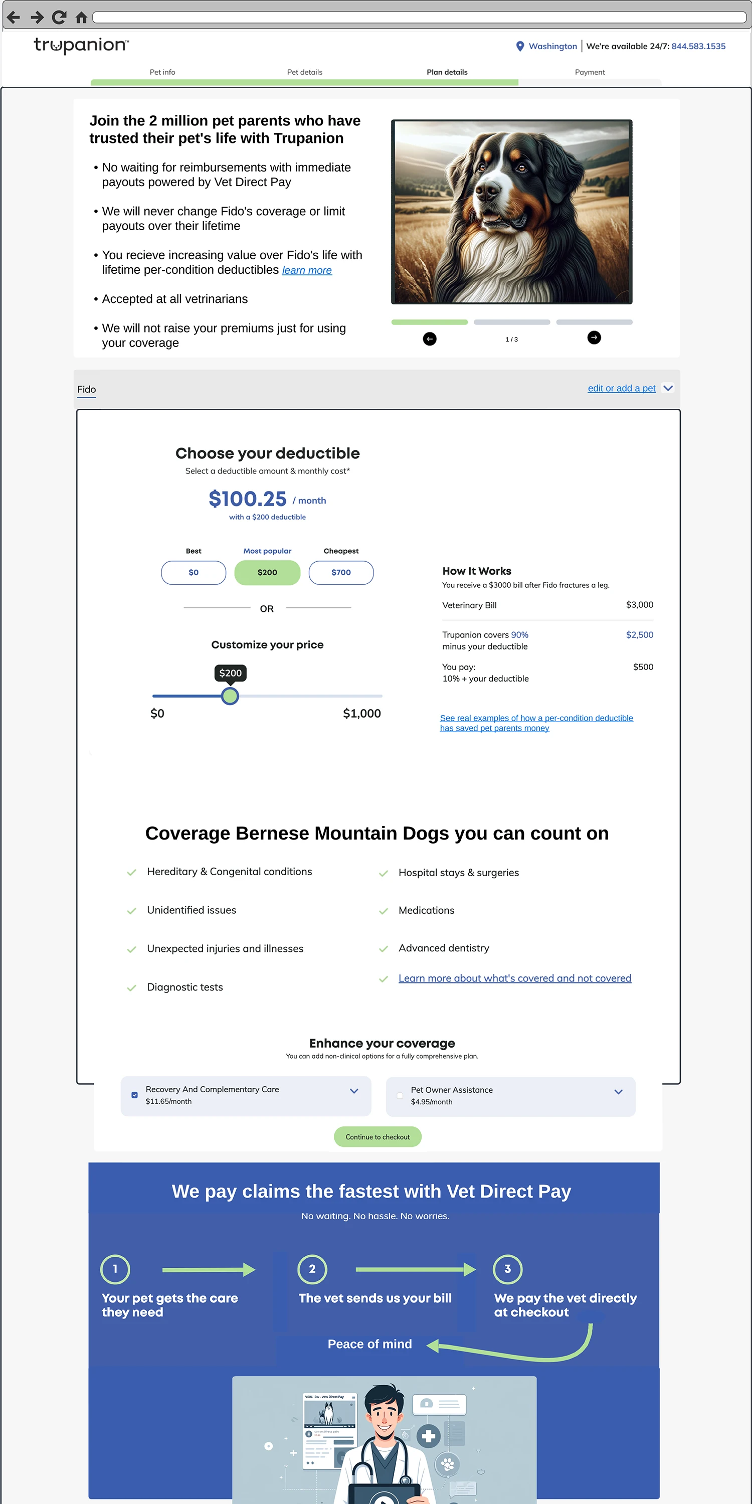Stakeholder's version of a wireframe