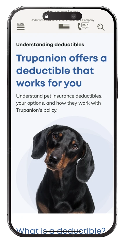 Screenshot of mobile version of new deductibles page