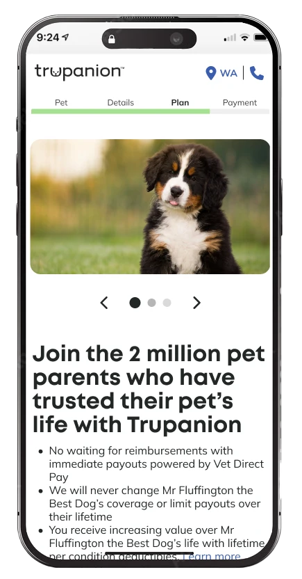 mobile version of the first design