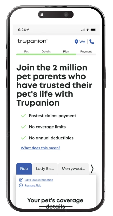 The mobile version of the second design